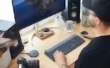 在线手机号平台